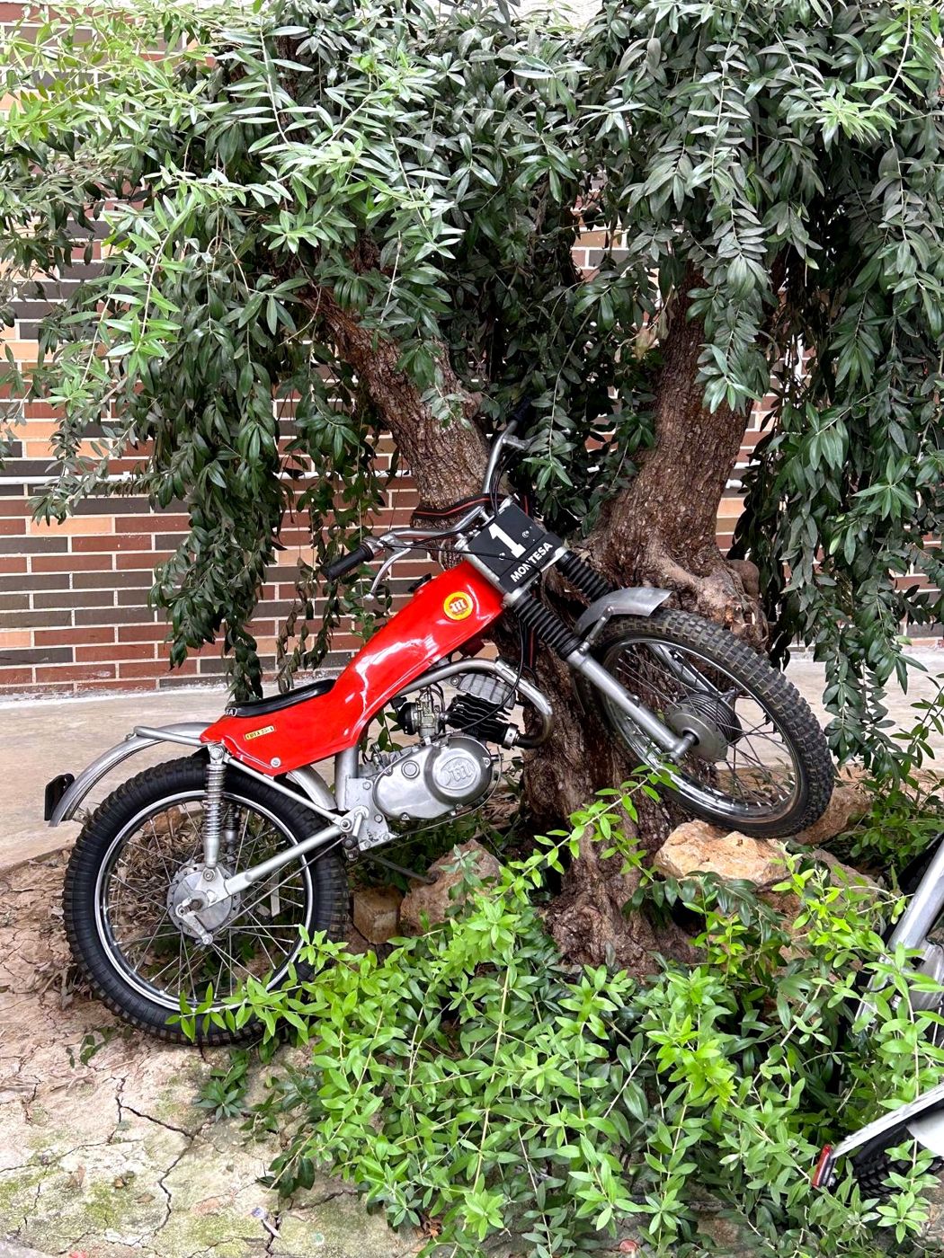 Concentración Motera Montilla — foto 19